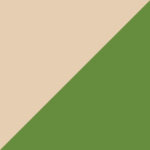 C4 Beige Lime