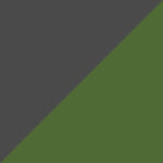 C3 Grey Olive