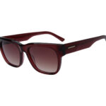 C7 SUN Brown